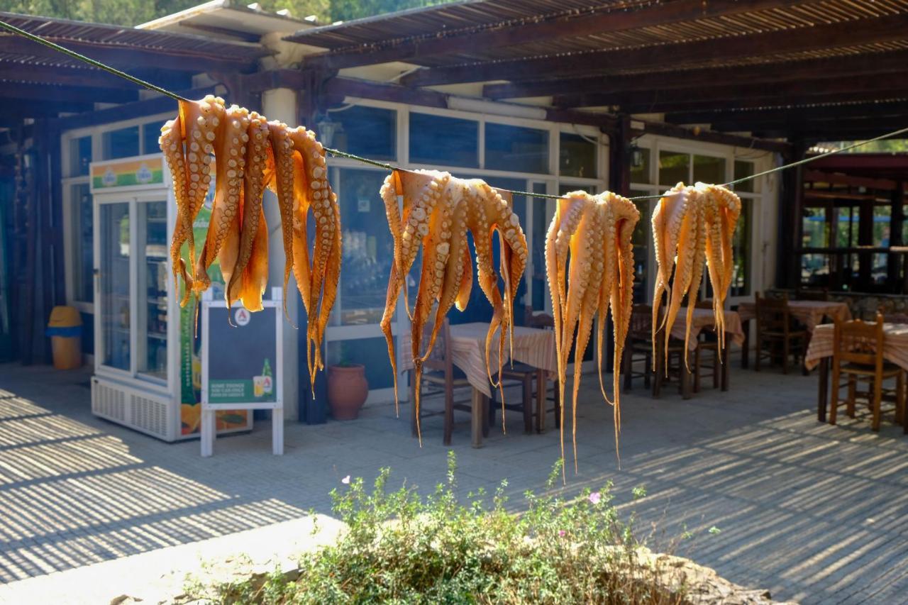 קיסאמוס Villa Demetra מראה חיצוני תמונה